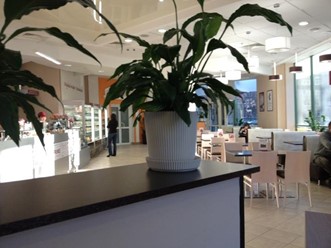 Фото компании  Prime, сеть кафе быстрого питания 1