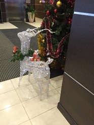 Фото компании  The Terrace, ресторан-бар 1