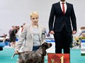 Фото компании  Iriskisdogs 3