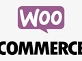Создание и разработка интернет-магазинов на WooCommerce