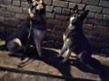 Фото компании  Школа Лидеров Дон 2