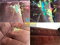 Фото компании  MIGOM 6