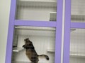 Фото компании  Котель 4