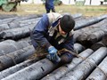 Фото компании ООО Ураллес 2