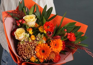 Фото компании  Rose novoross 1