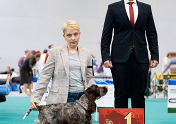 Фото компании  Iriskisdogs 3