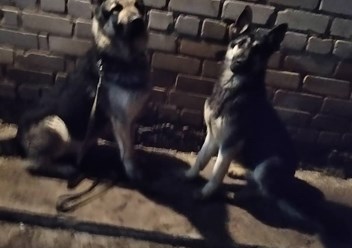Фото компании  Школа Лидеров Дон 2