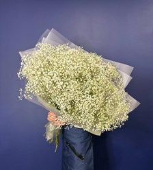 Фото компании ИП PROTEA-Студия Цветов 9