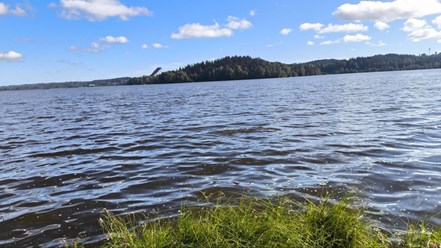 Кавголовское озеро