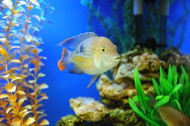 Фото компании  Аквабар, ресторан 1