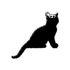 Фото компании  Трулаленд | Нумерология 2