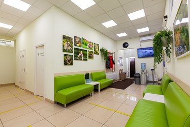 Фото компании  Центр ветеринарной офтальмологии доктора Шилкина А.Г. на ул. Островитянова 2