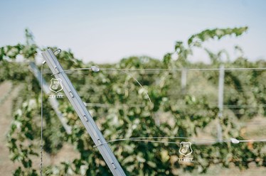 Фото компании ООО Гефест завод 4