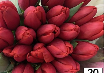 Фото компании  Не Букет 4