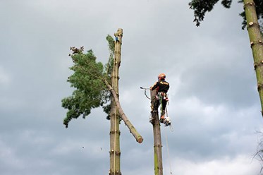 Фото компании  Арбера 14