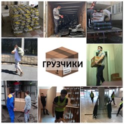 Фото компании ИП Грузчики 27 9
