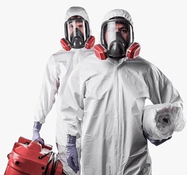 Фото компании ООО ДезИнспектор 7