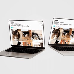 Фото компании  Veter 3