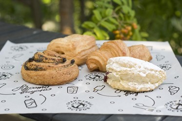 Фото компании  Оранжевый остров 28