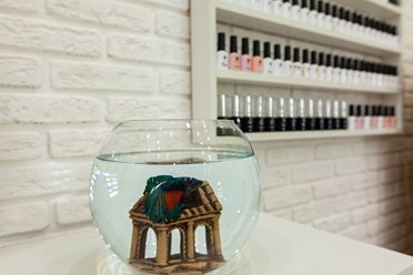 Фото компании  Morozova Beauty Studio 4