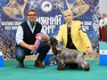 Фото компании  Iriskisdogs 2