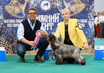 Фото компании  Iriskisdogs 2