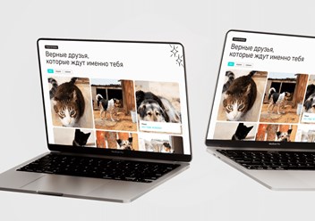 Фото компании  Veter 3