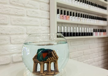 Фото компании  Morozova Beauty Studio 4