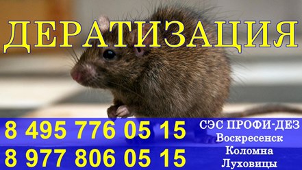 Фото компании ООО Профи - Дез 6