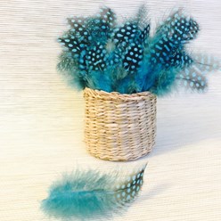 перо цесарки голубое