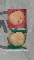 Фото компании ООО Лаборатория Улыбок 6