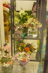 Фото компании ИП VIVALDI 14