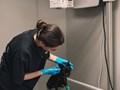 Фото компании  ПЛАНЕТА 3