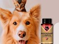 Антиоксидант Комплекс для собак и котов LeVi 500 mg 30 таблеток Антиоксидант Комплекс для собак и котов LeVi 500 mg 30 таблеток le-vi.com.ua/ru/immunitet-i-vosstanovlenie-sil/antioksidant-kompleks-an
