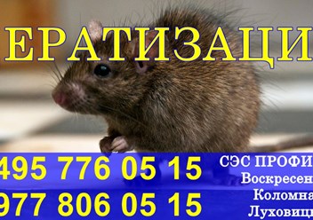 Фото компании ООО Профи - Дез 6