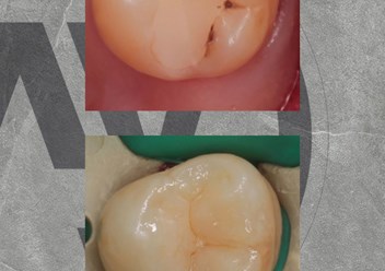 Фото компании ООО Лаборатория Улыбок 6