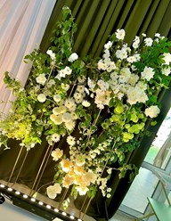 Фото компании  В цветах 32