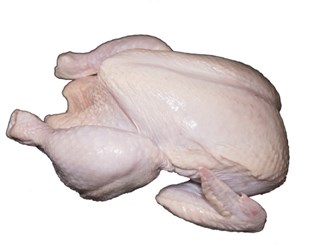 Фото компании ООО ооо 2