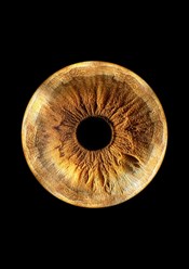 Фото компании  MemoriesUral 16