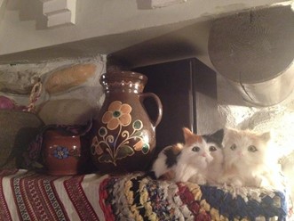 Фото компании  Русский чай, трактир 12