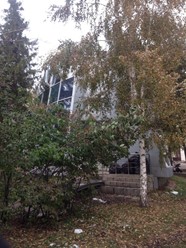 Фото компании  New York Pizza, пиццерия 26