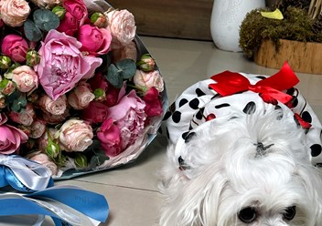 Фото компании   Цветы с доставкой Cyber Flora® | Кибер Флора® в Балашихе 5