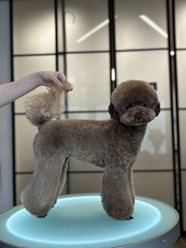 Фото компании  UrbanDog 10