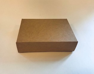 Ланч бокс  205*145*55