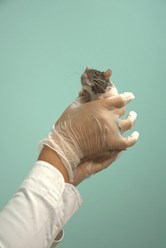 Фото компании  «Искра жизни» 20
