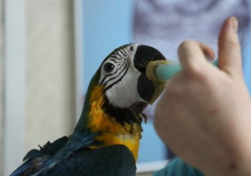 Фото компании ООО Маугли-М 6