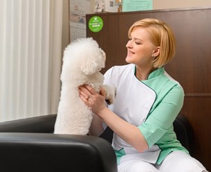 Фото компании ООО Хвостатая помощь 7