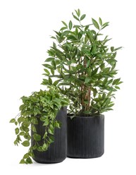 Фото компании  Зеленый Дворик 2