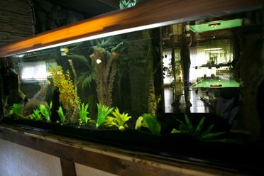 Фото компании  Банный ТеремЪ, банный комплекс 16