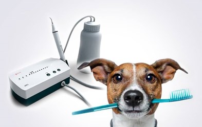 Ультразвуковая чистка зубов